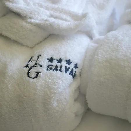 加尔瓦尼酒店 酒店 4*